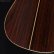 画像18: Martin　2006 Custom D-45V [中古品] (18)