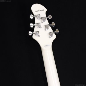 画像9: GrassRoots by ESP　G-Stream-Miku [SNOW MIKU]