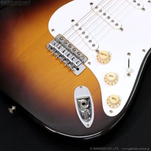 画像5: Tokai　1981 ST-50 GS [中古品]