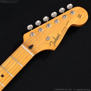 画像11: Tokai　1981 ST-50 GS [中古品]