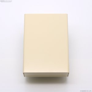 画像4: Collateral FX　Sea of Japan