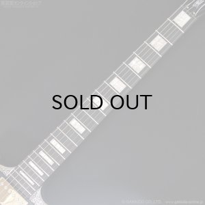 画像8: Epiphone　Lzzy Hale Explorer Custom [Black Diamond Holographic Sparkle]