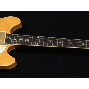 画像4: Aria Pro II　TA-TONIC AMB [Amber]