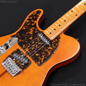 画像7: H.S.Anderson　2024 HS-1 LH Mad Cat [左利き用モデル] [中古品]