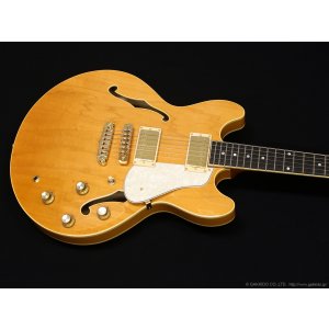画像3: Aria Pro II　TA-TONIC AMB [Amber]