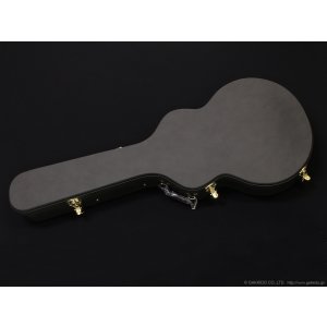 画像11: Aria Pro II　TA-TONIC AMB [Amber]