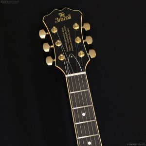 画像6: Aria Pro II　TA-TONIC AMB [Amber]