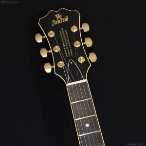 画像6: Aria Pro II　TA-TONIC LPBL [Lake Placid Blue]