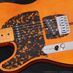 画像9: H.S.Anderson　2024 HS-1 LH Mad Cat [左利き用モデル] [中古品]