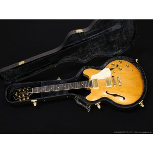 画像12: Aria Pro II　TA-TONIC AMB [Amber]