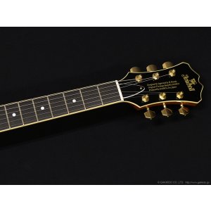 画像5: Aria Pro II　TA-TONIC AMB [Amber]