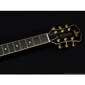 画像5: Aria Pro II　TA-TONIC LPBL [Lake Placid Blue]
