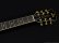 画像5: Aria Pro II　TA-TONIC LPBL [Lake Placid Blue] (5)