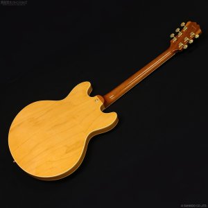 画像9: Aria Pro II　TA-TONIC AMB [Amber]