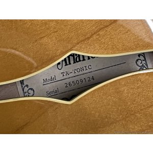 画像10: Aria Pro II　TA-TONIC AMB [Amber]
