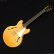 画像1: Aria Pro II　TA-TONIC AMB [Amber] (1)