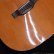 画像8: Martin　1965 D12-20 [ヴィンテージ品] (8)