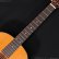 画像12: Martin　1965 D12-20 [ヴィンテージ品] (12)