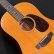 画像10: Martin　1965 D12-20 [ヴィンテージ品] (10)
