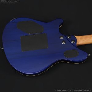 画像14: EVH　2023 Wolfgang Special QM，Baked Maple Fingerboard [Chlorine Burst] [中古品]