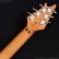 画像11: EVH　2023 Wolfgang Special QM，Baked Maple Fingerboard [Chlorine Burst] [中古品] (11)