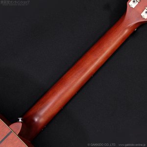 画像9: YAMAHA　2019 FGX3 [中古品]