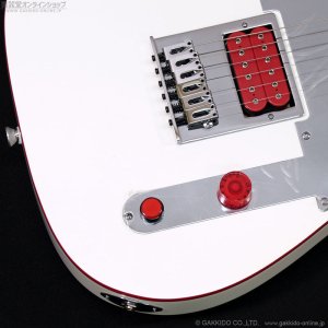 画像4: Fender　John 5 Ghost Telecaster