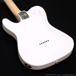 画像11: Fender　John 5 Ghost Telecaster