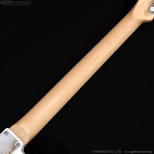 画像7: Fender　John 5 Ghost Telecaster