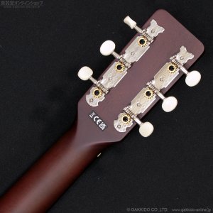 画像6: Gretsch　2025 Jim Dandy Deltoluxe Concert [Black Top] [中古品]