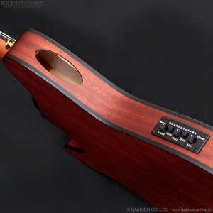 画像7: Ibanez　FRH10N NTF [Natural Flat]