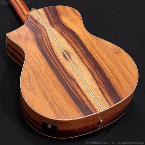 画像13: Bromo Guitars　BAR4GCE