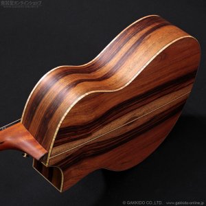 画像5: Bromo Guitars　BAR4GCE
