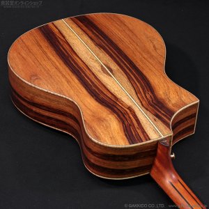 画像15: Bromo Guitars　BAR4GCE
