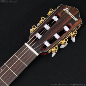 画像5: Ibanez　FRH10N NTF [Natural Flat]