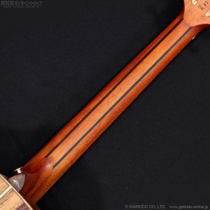 画像9: Bromo Guitars　BAR4GCE