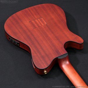 画像10: Ibanez　FRH10N NTF [Natural Flat]