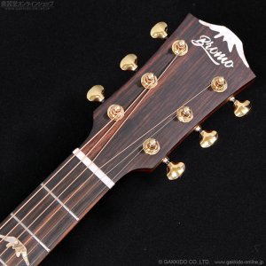 画像10: Bromo Guitars　BAR4GCE