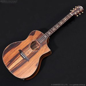 画像1: Bromo Guitars　BAR4GCE