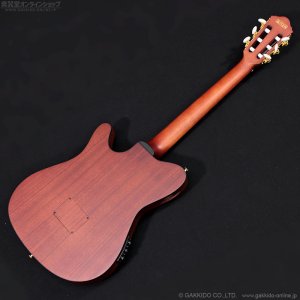 画像11: Ibanez　FRH10N NTF [Natural Flat]