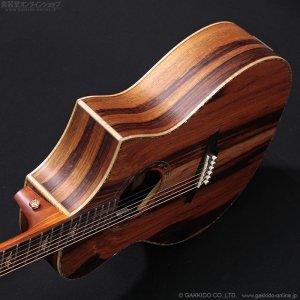 画像4: Bromo Guitars　BAR4GCE