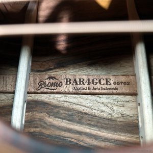 画像17: Bromo Guitars　BAR4GCE