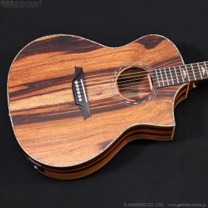 画像2: Bromo Guitars　BAR4GCE