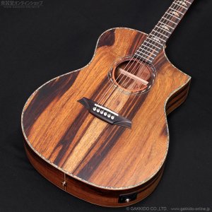 画像3: Bromo Guitars　BAR4GCE