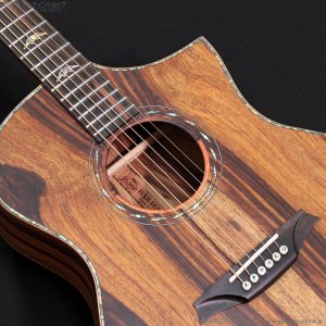画像7: Bromo Guitars　BAR4GCE