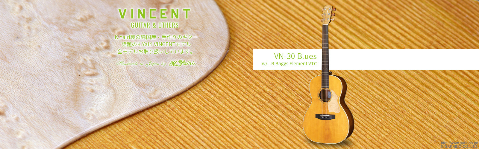 VINCENT　VN-30 Blues w/L.R.Baggs Element VTC