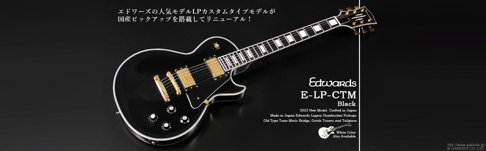 Edwards　E-LP-CTM BK [Black]