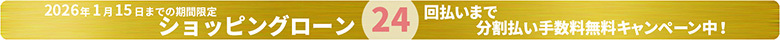 ショッピングローン24回払いまで分割払い手数料無料キャンペーン中！