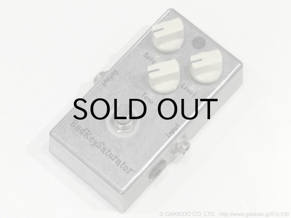 画像1: Badkey　BS-1 Badkey Saturator (1)