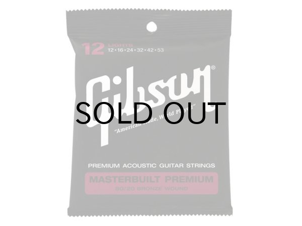 画像1: Gibson　Masterbuilt Premium 80/20 Bronze (1)